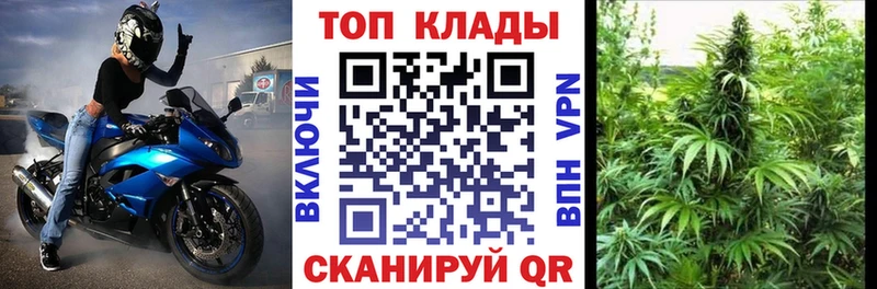 Купить закладку Галлюциногенные грибы  COCAIN  APVP  Меф мяу мяу  МАРИХУАНА  АМФ  Шенкурск