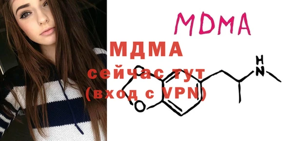 сатива Лабытнанги