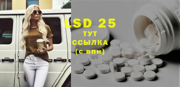 сатива Лабытнанги