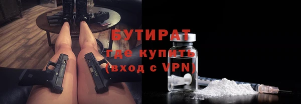 сатива Лабытнанги