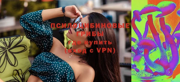 МДПВ Лагань