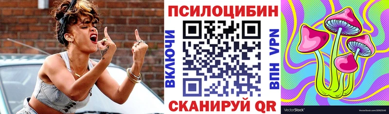 Купить закладки  Шенкурск  Галлюциногенные грибы Magic Shrooms 
